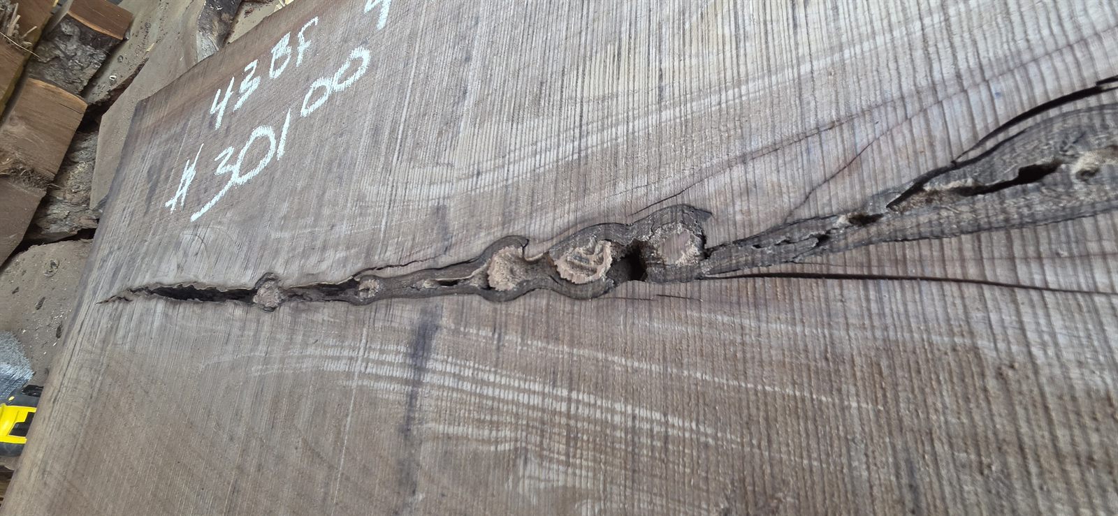 Close up of the natural bark inclusion running through black walnut slab number 9