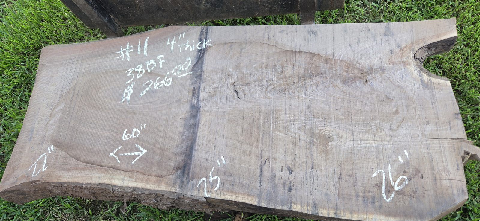 Black walnut slab number 11, 4 inch thick, 60 inches long, 25 inches wide