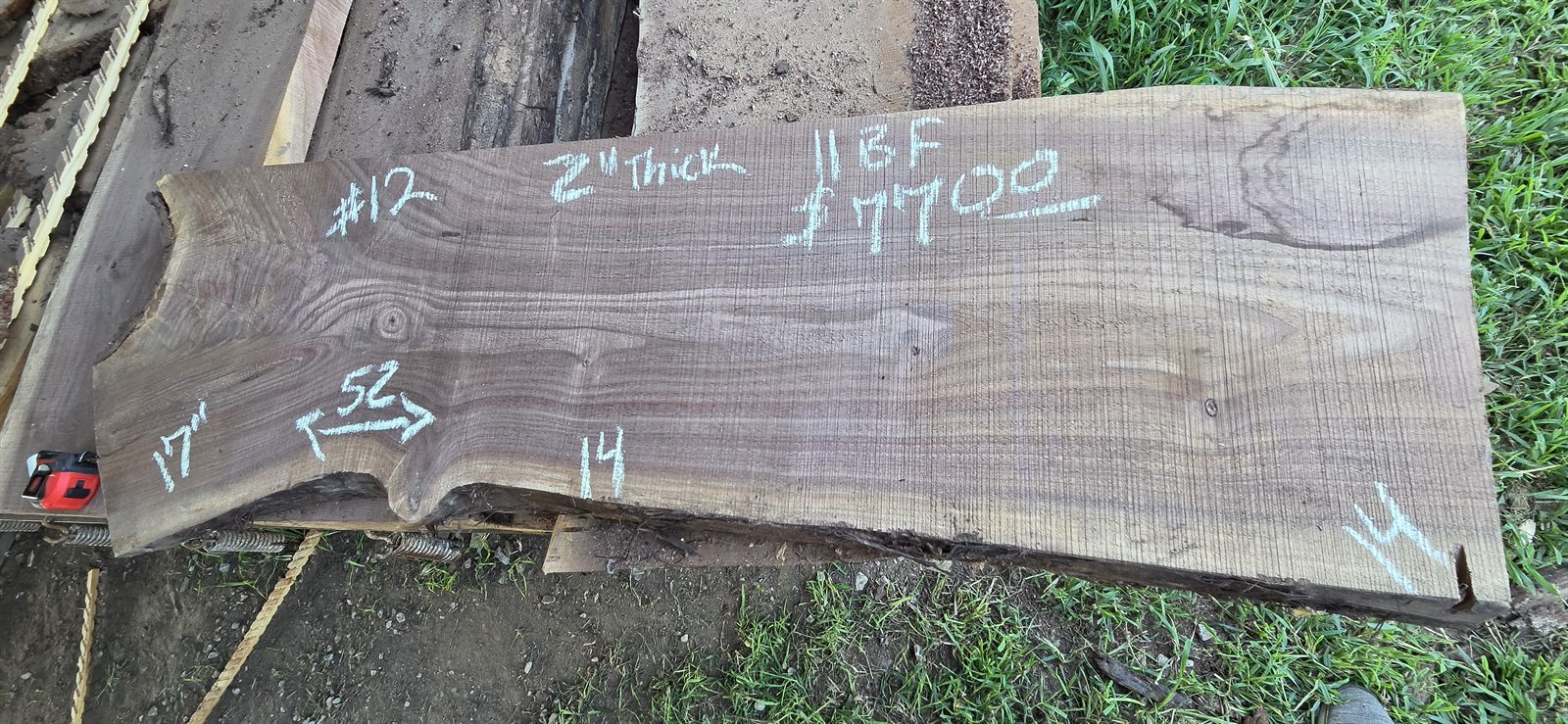 Black walnut slab number 12, 2 inch thick, 52 inches long, 14 inches wide